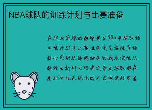 NBA球队的训练计划与比赛准备